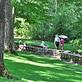 Sunday In The Park