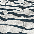 Zebra Sand 2